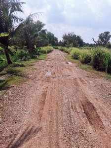 ขาย ที่ดินเปล่า คลองสี่ 2 ไร่ คลองหลวง ปทุมธานี ฟรีโอน