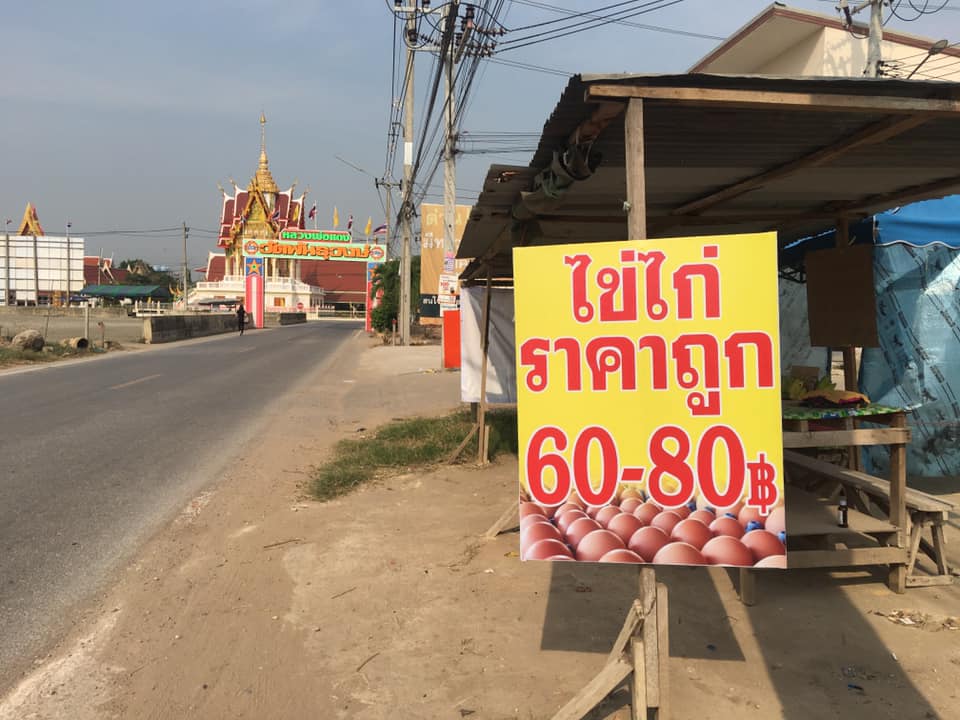 ไข่ไก่ตลาด