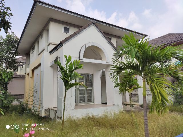 T0571  ขายถูกมาก บ้านเดี่ยว ร่มไทรการ์เด้นวิลล์  2 ชั้น  3 นอน 2 น้ำ ขนาด 70 ตรว. ใกล้แมคโครบางบอน  