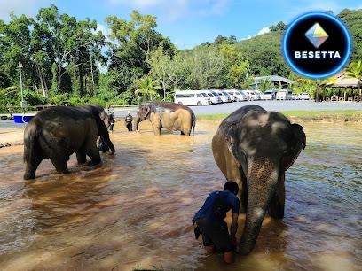 Green Elephant Sanctuary Park