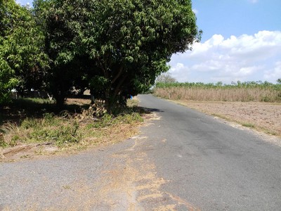 ขาย ที่ดิน ต.หนองอิรุณ อ.บ้านบึง จ.ชลบุรี วิวเขา 900,000