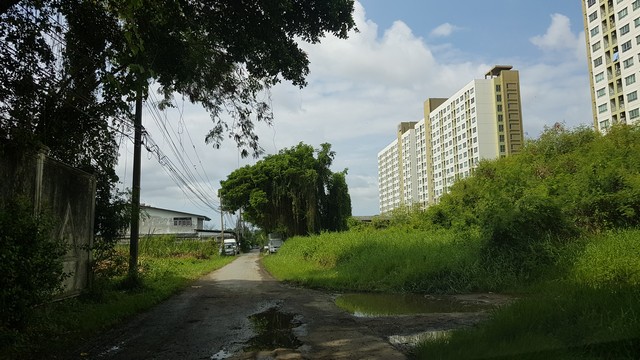 ขายที่ดิน 300 วา ซอยลาซาล ใกล้โรงเรียน บางกอกพัฒนา สวย ราคาถูกมาก