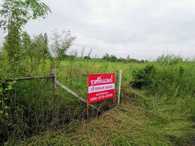 ขายที่ดินนาแปลงสวย 1งาน ถนนธัญบุรี-วังน้อย เหมาะแก่การลงทุนทำธุรกิจ ในอำเภอ คลองหลวง ปทุมธานี