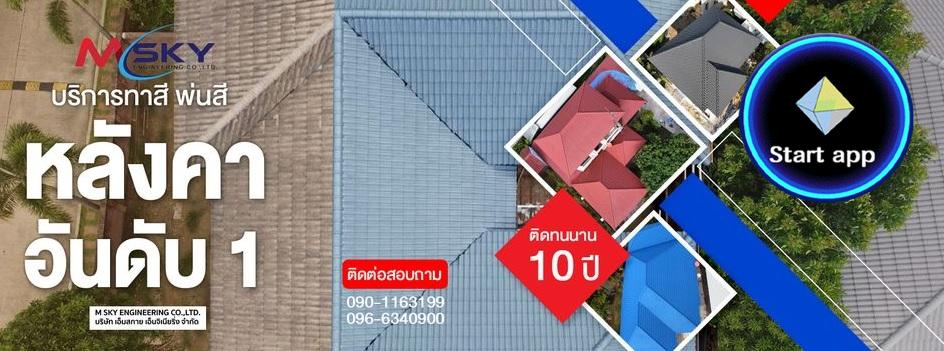 ทาสีหลังคา พ่นสีหลังคาบ้าน โรงงาน ปรึกษาบริษัท ด้วยวิศวกร 