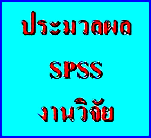 รับปรึกษาทำงานวิจัย วิทยานิพนธ์ แผนธุรกิจ รายงานวิชาต่างๆ และประมวลผล  SPSS d4