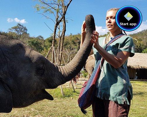 Maeklang Elephant Conservation Community