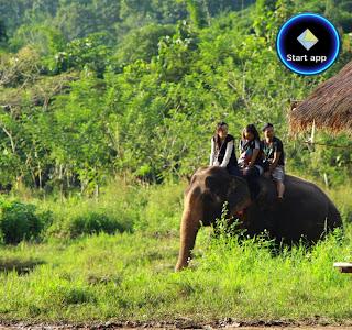  Mayrin Elephant Family Camp