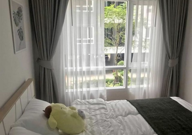 เช่ารีเจ้นท์โฮม 81 Regent Home Sukhumvit 81 อาคาร C ชั้น2 28 ตรม 9,000 บาท