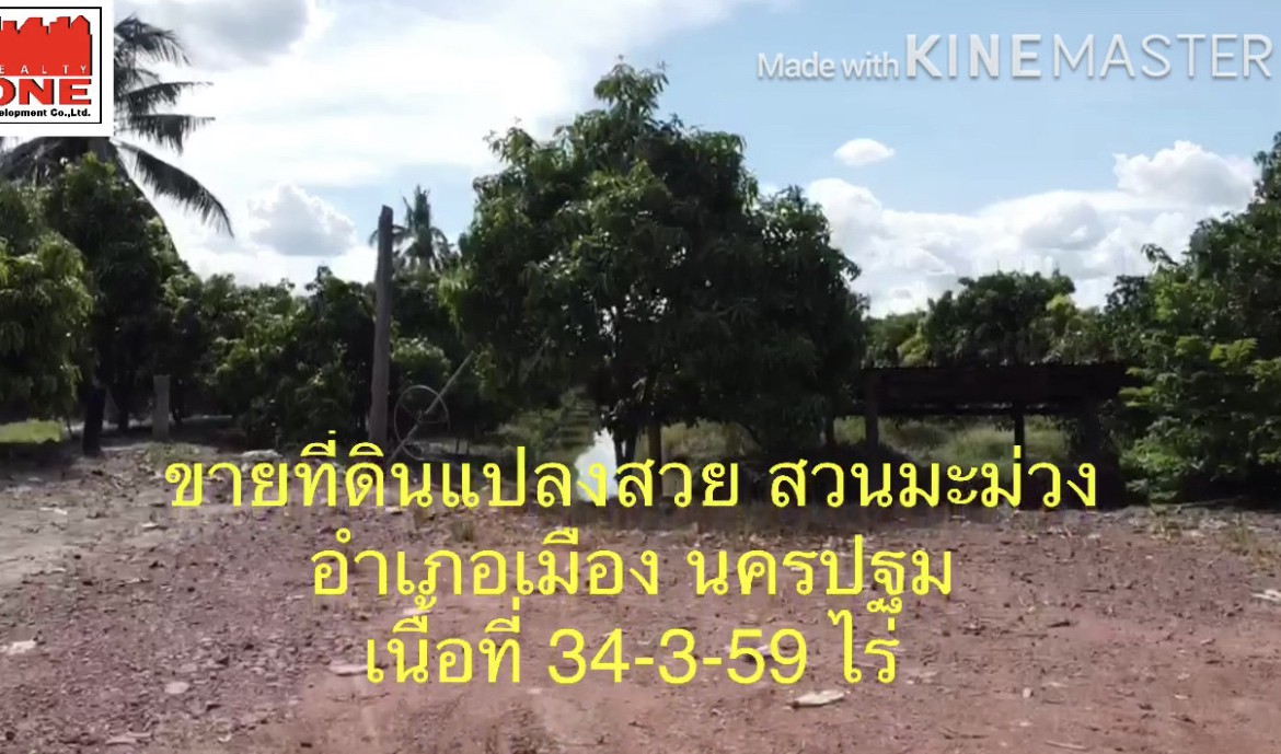 ขายที่ดินสวย มีอนาคต สวนมะม่วง 34-3-59 ไร่ คลองสิบห้าวา ตำบลดอนยายหอม อำเภอเมือง นครปฐม  