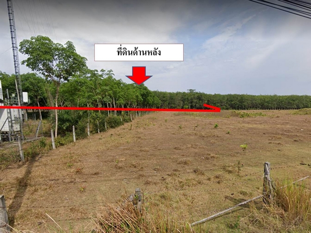 ขายที่ดินซอยธัญญะปุระ 25ไร่  ตะเคียน ถลาง  ภูเก็ต  ใกล้ธัญญะปุระ  