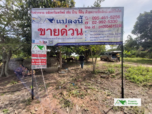 ขายที่ดิน  23 -0-38   ไร่   ทำเลดี ต.จันทบเพชร   อ.บ้านกรวด    จ.บุรีรัมย์   