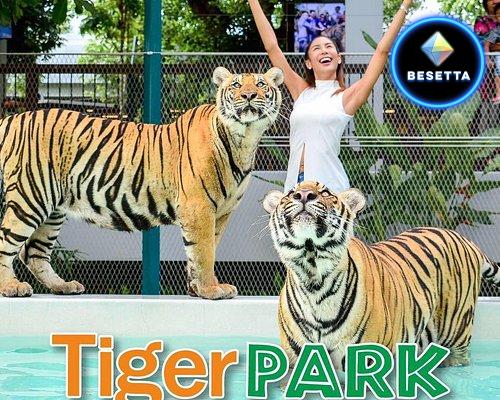 Tiger Park Pattaya