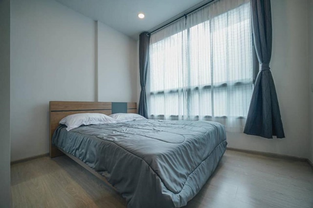 เช่าคอนโด เดอะทรี สุขุมวิท 64 [The Tree Sukhumvit 64] 1 Bed ถูกที่สุดในโครงการ