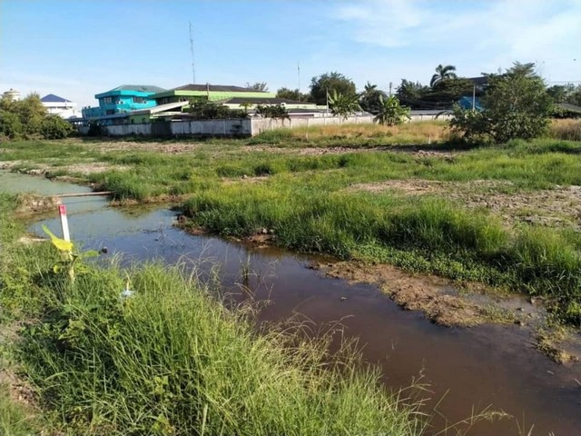 แบ่งขาย ที่ดินหลังโรงพยาบาลคลองหลวง คลอง6 จ.ปทุมธานี